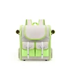 Fluorescent green