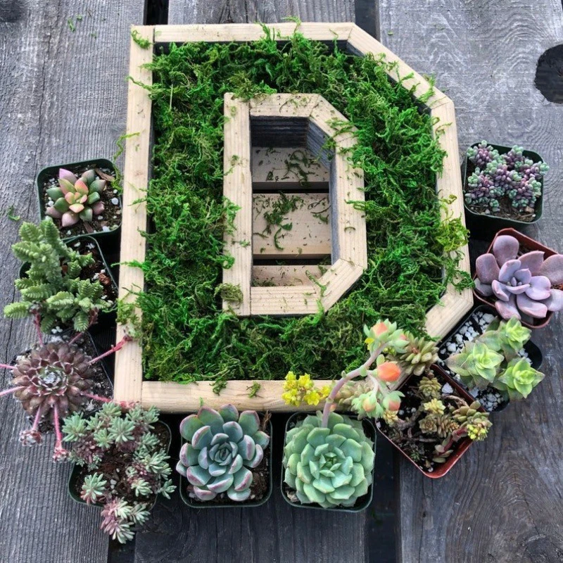 Multi Types Containers Wood Craft Garden Decoration Creative Letters Succulent Flower Pots Alphabet Shape Green Planter