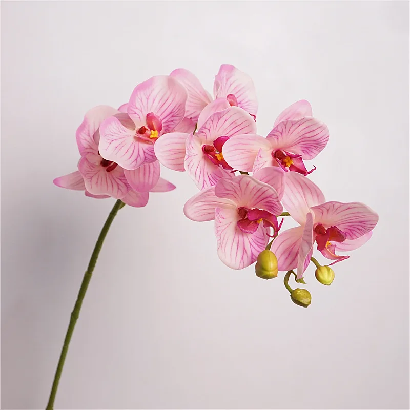 3D-Druck Real Touch Knstliche Orchideen Phalaenopsis in Vase Dekorative  Latex Orchideen Pflanzen Knstliche Orchidee| Alibaba.com