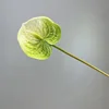White Green