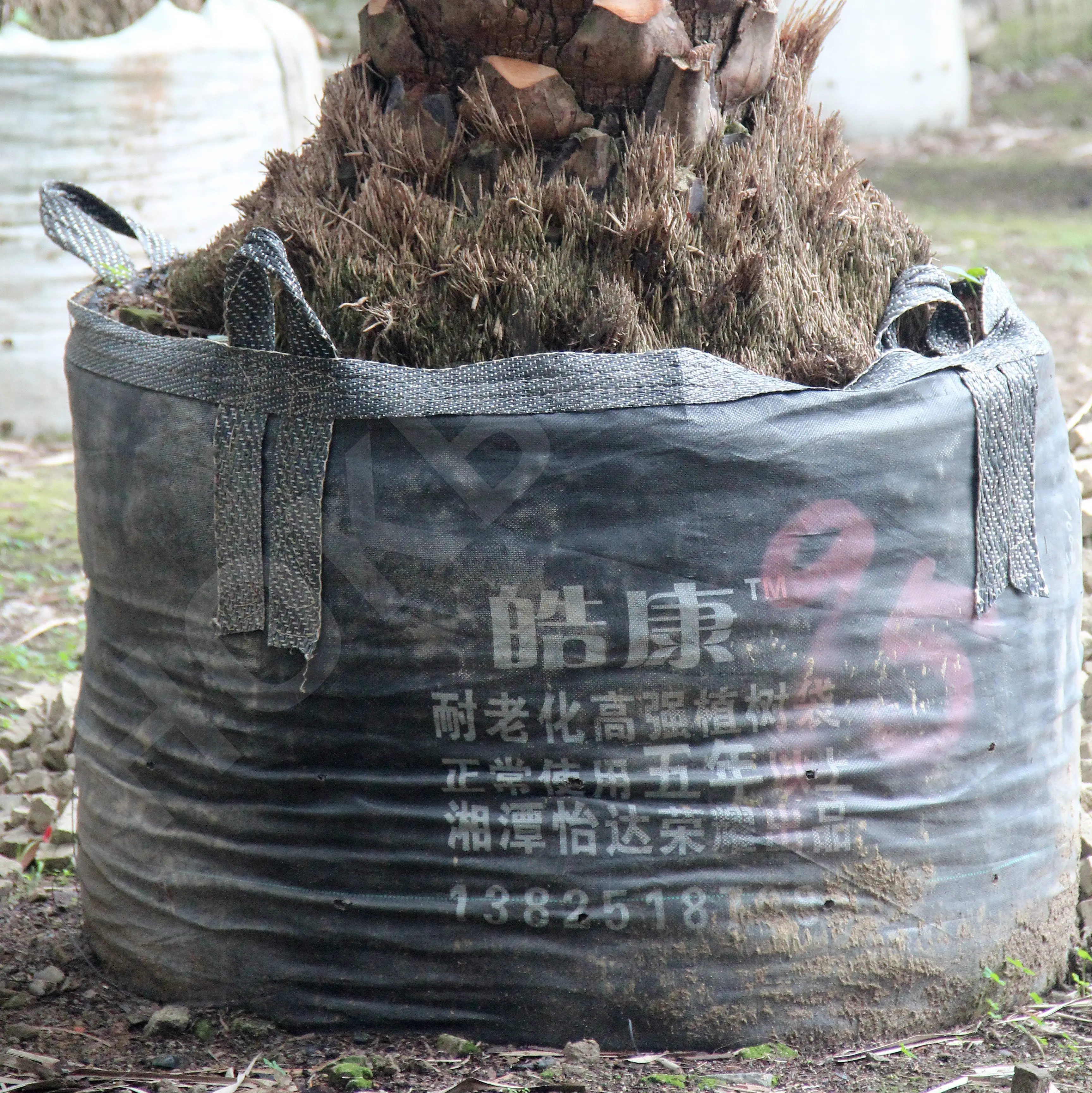 thumbnail image 2 of 1 Gallon Fabric Pots Boovnll 2 Gallon Grow Bags, Thickened Heavy Duty Non-Woven Potato Grow Bags With Handles, Reusable Garden Plant Bags For Garden, Terrace, Farm, Vegetables, Grains, Fruit, Grow Bag 2 2 of 14