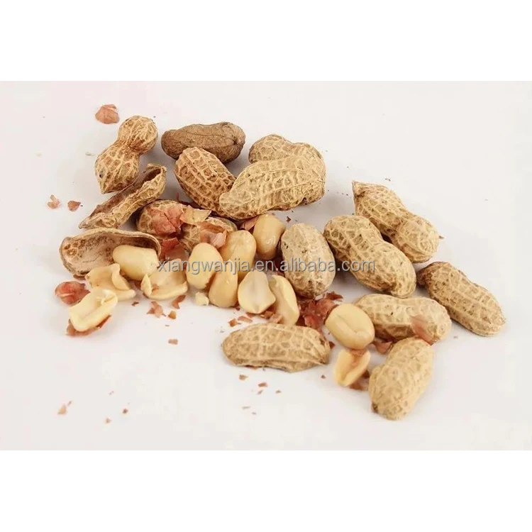 High Grade China Supplier Wholesale Salted Salty Roasted Peanuts