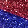 Sequin Velvet