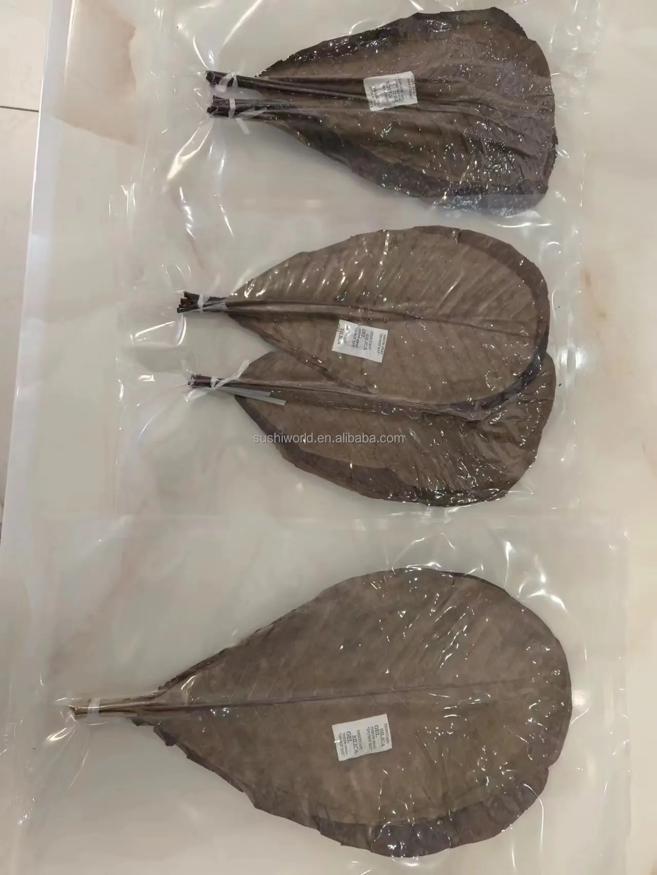Wholesale Natural Sushi HOBA Fresh Bamboo Leaves