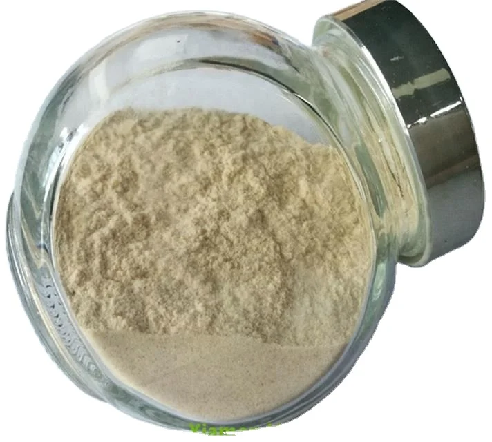 Citrus Pectin Fruit Pectin Organic Pectin Powder Buy Citrus Pectin