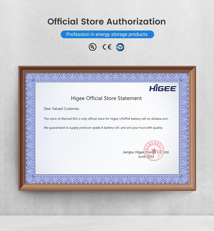 Higee Higee Lithium Cells Graphene for Electric Vehicle Car Pack