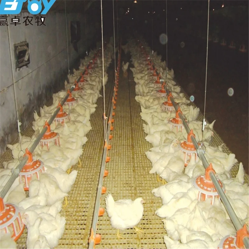 Outstanding Quality Full Set of Automatic Broiler Poultry Farming House Design Chicken Shed Equipment