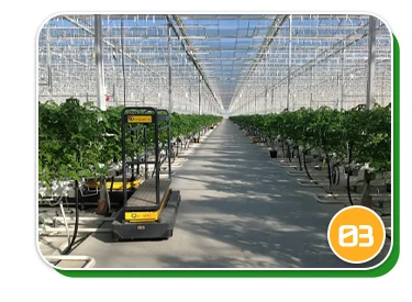 Commercial Glass greenhouse