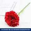 Single-headed short-stem carnation - bright red