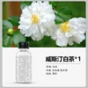 White tea essential oil