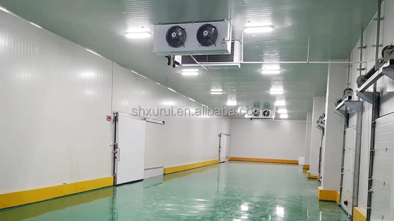 Storage Cold Room Freezer, 20ft, 380v 440v, R-22 R-404A R-134A - detail 24