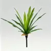 42cm, 30 leaves, all green