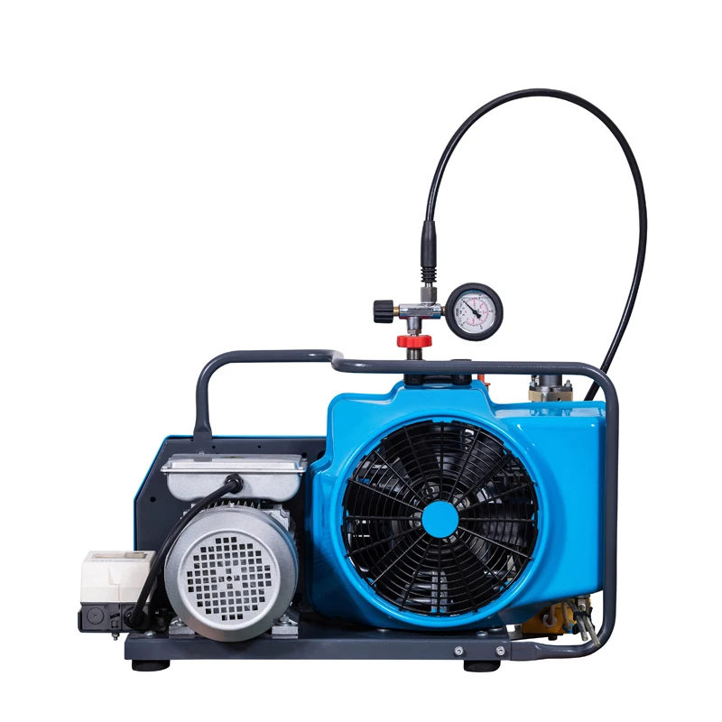 High Pressure Portable Air Breathing Compressor 2.2kw 3hp 100l/min