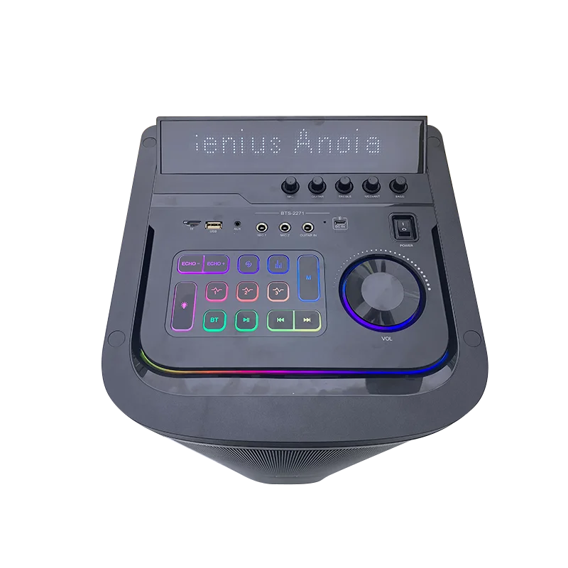 BTS-2271 Karaoke Portable Speaker with RGB Lights, 4 x 8 Inch