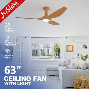 1stshine LED Ceiling Fan 63" 3 ABS Blades Flush Mounted DC Motor Big Ceiling Fan