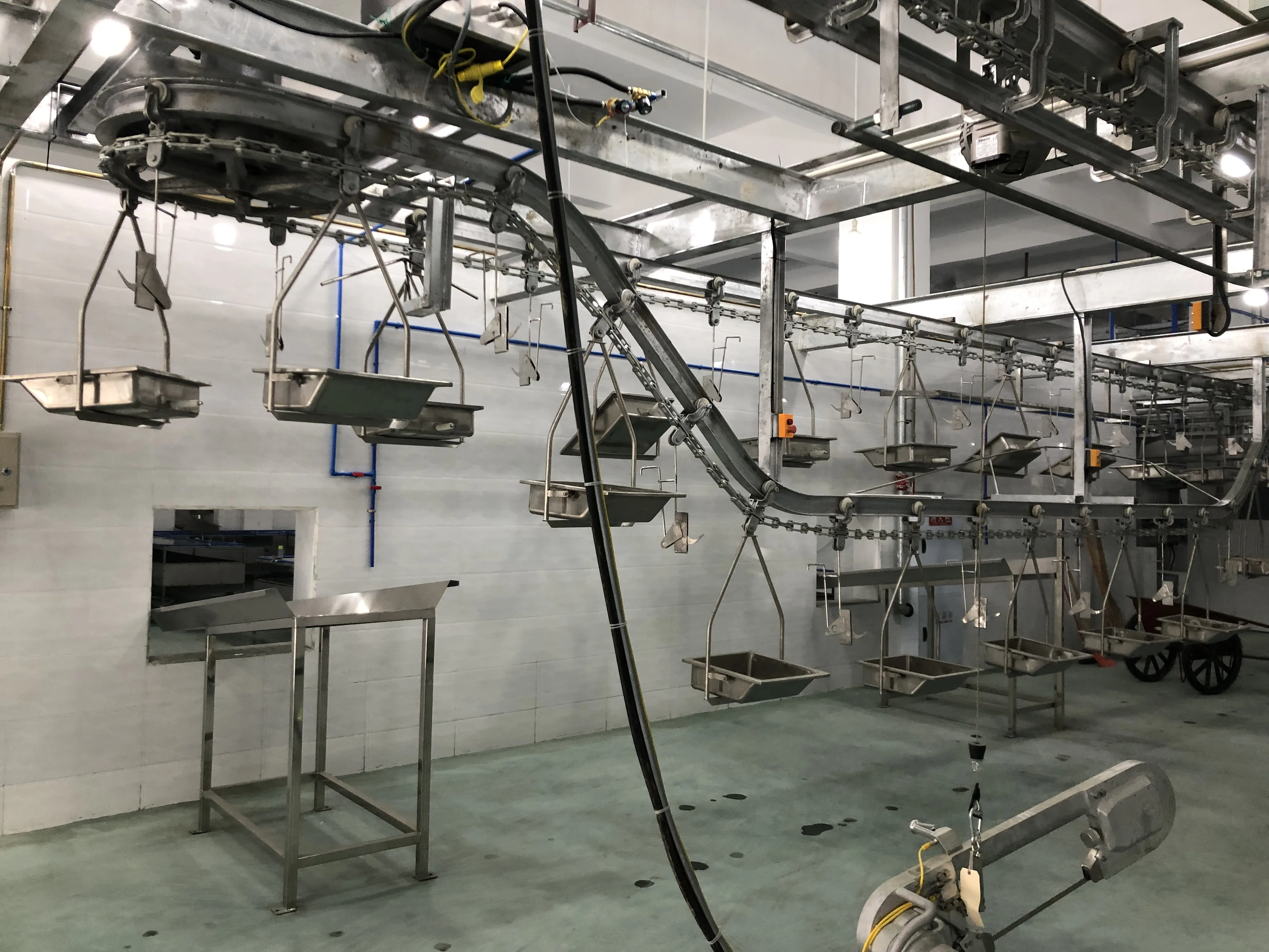 New custom-made sow slaughterhouse equipment for professional pig slaughtering systems