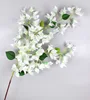 116  cm Bougainvillea 8