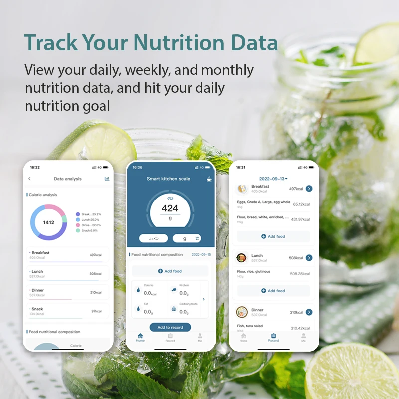 Smart Nutrition Scale for Calorie Control Food Intake Monitoring 5kg ...