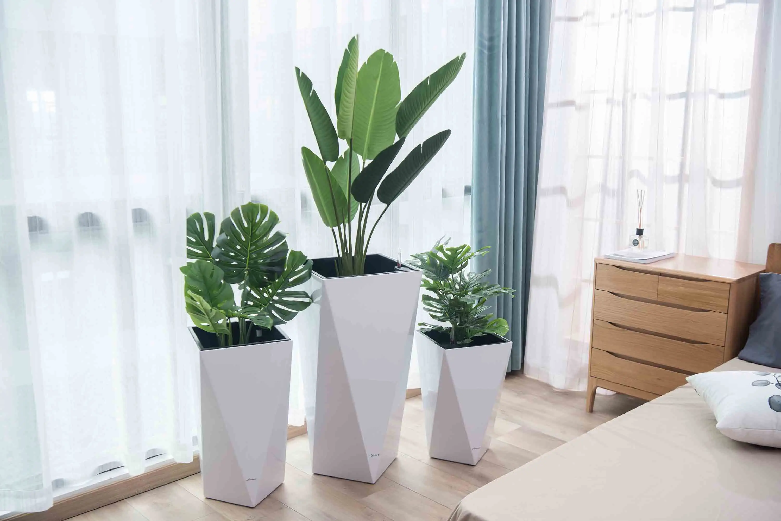 Large Indoor Outdoor Self-Watering Planters - Perfect for Hotels