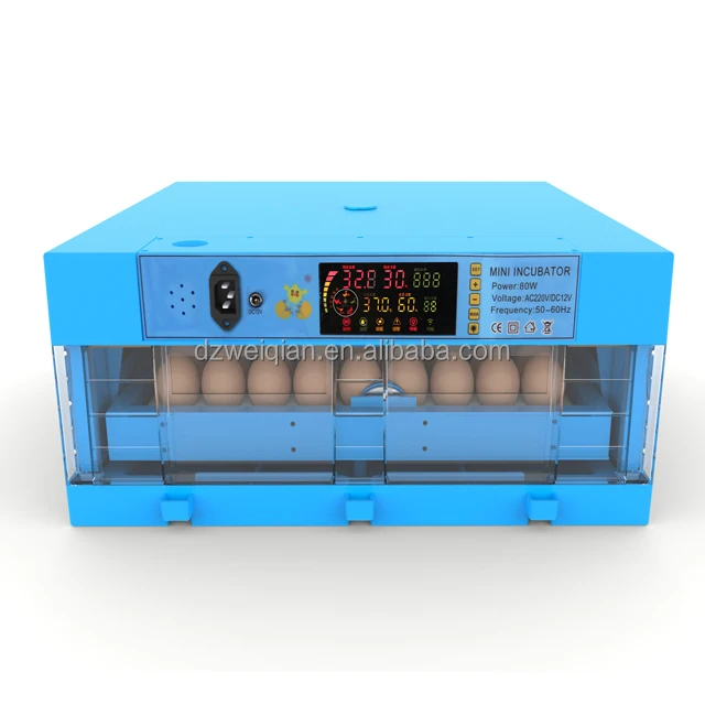 Автоматический инкубатор wq. Инкубатор 12 Egg incubator. Инкубатор автоматический WQ 96. Инкубатор для 60 куриные яйца. Инкубатор синий.