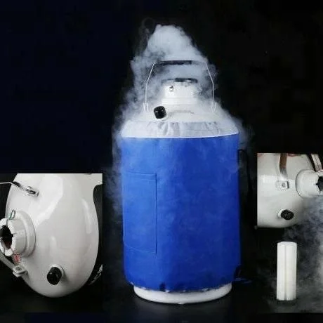 Small 2L Liquid Nitrogen Cryogenic Storage Tank Industrial Gas Use YDS-2 for Ice Cream