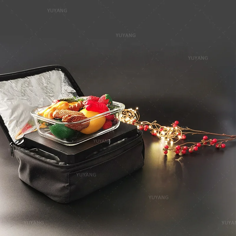 Portable Oven Car Food Warmer 12V,24V,110V Mini Personal Microwave Heated  Lunch