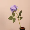 สีม่วงอ่อน