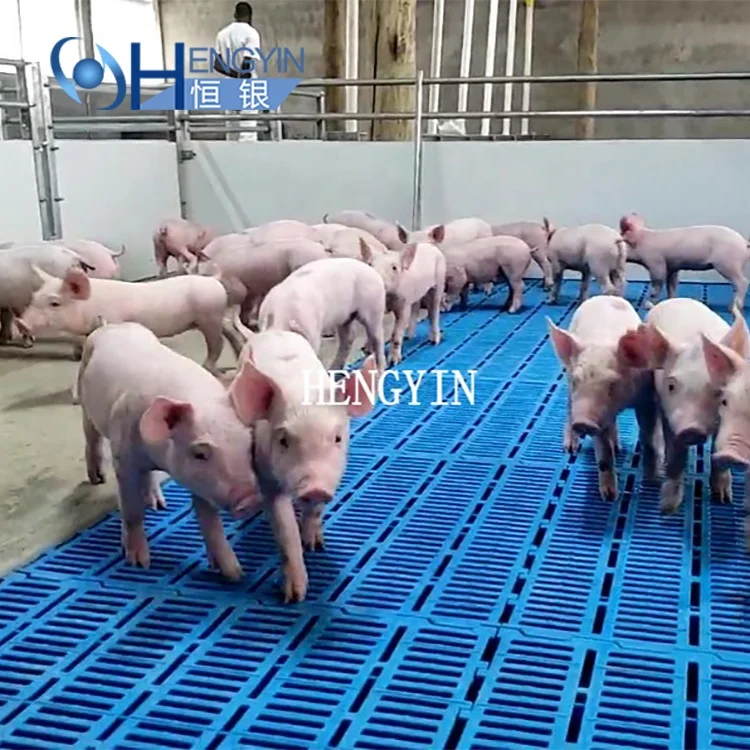 Free Sample Goat Sheep Pig Plastic Floor Grating for Sale Large Floor Grates  Pvc Floor Grating