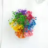 Colori misti casuali del respiro del bambino
