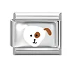 สัตว์เลี้ยง-14