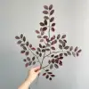 Small Redbud Tree - Purple