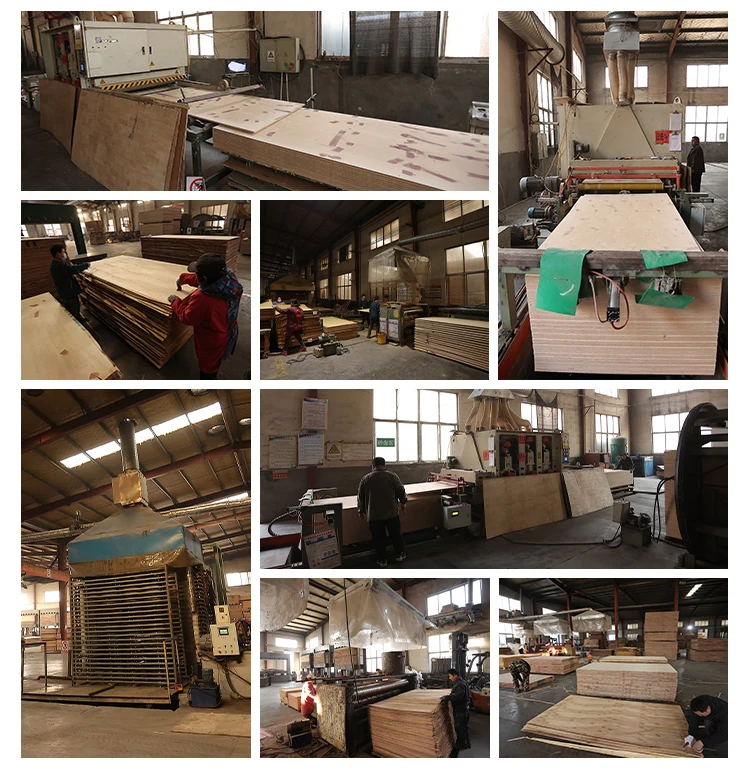 622mm 18mm Thickness Osb Board Construction Waterproof Osb Plywood