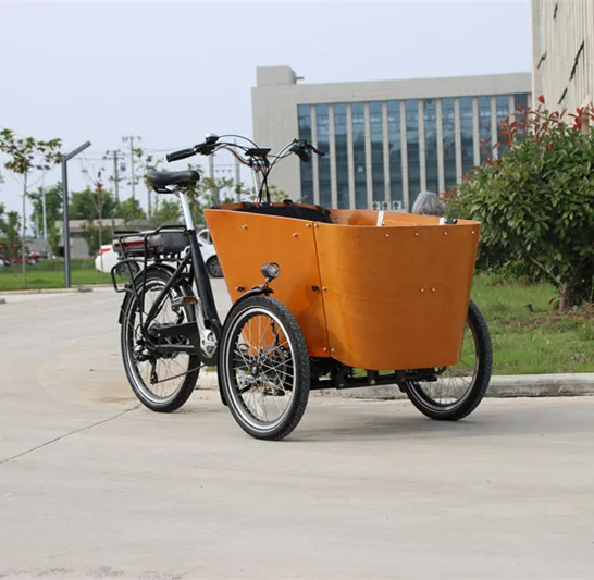 Electric Cargo Bike with Pedal Assist Large Capacity Fast Mobile Wheel  Trike Customized Tricycle