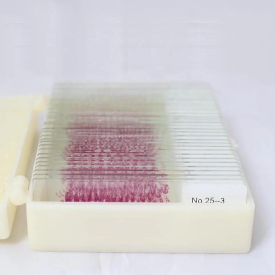 Лезвие курицы серийные поперечные секции микроскоп готовые слайды на животных