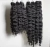 burmese curly