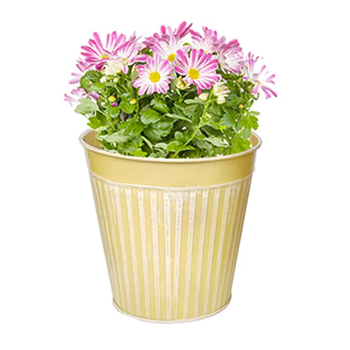 Wholesale Cheap Iron Flower Pot Planter Galvanized Vertical Stripes