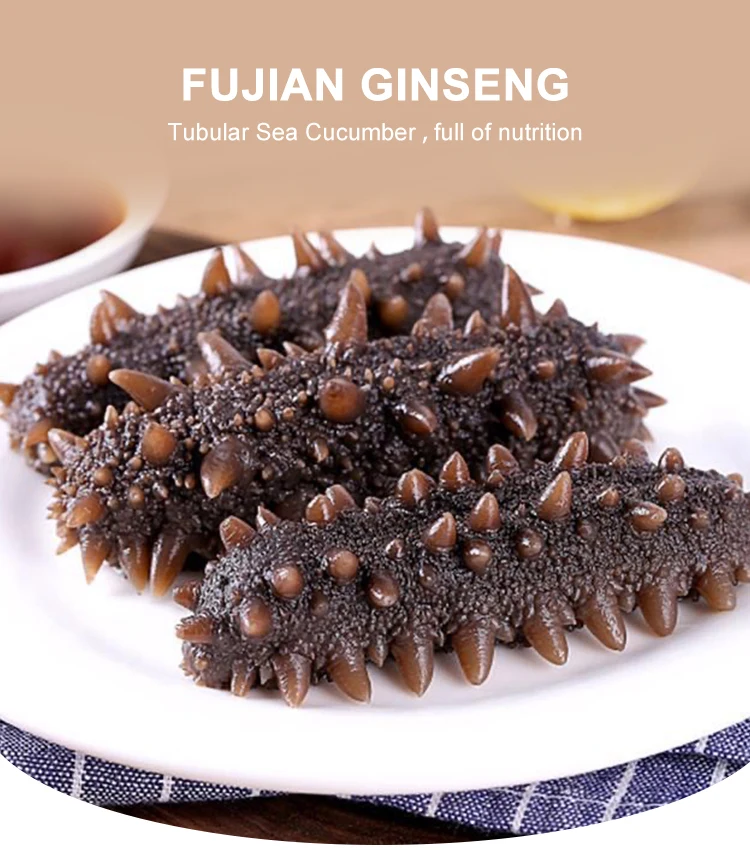 sea cucumber buyer