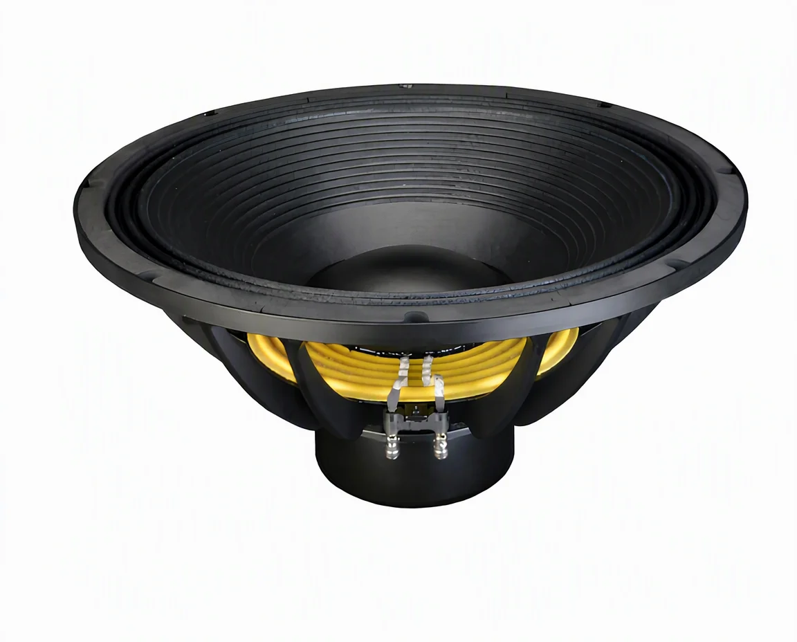 2000W 21 Inch Neodymium High Power Subwoofer 102dB 36Hz Deep Bass Speaker for Arena Concert Festival PA