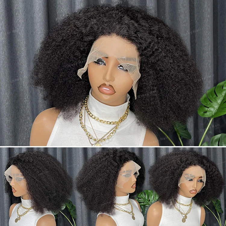 200 Density Hd Lace Wig Afro Kinky Curly Wig Afro Hair Wigs For Black ...