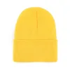 Little yellow chick