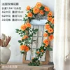 Orange French rose vine, 1.8 meters tall, no branches.