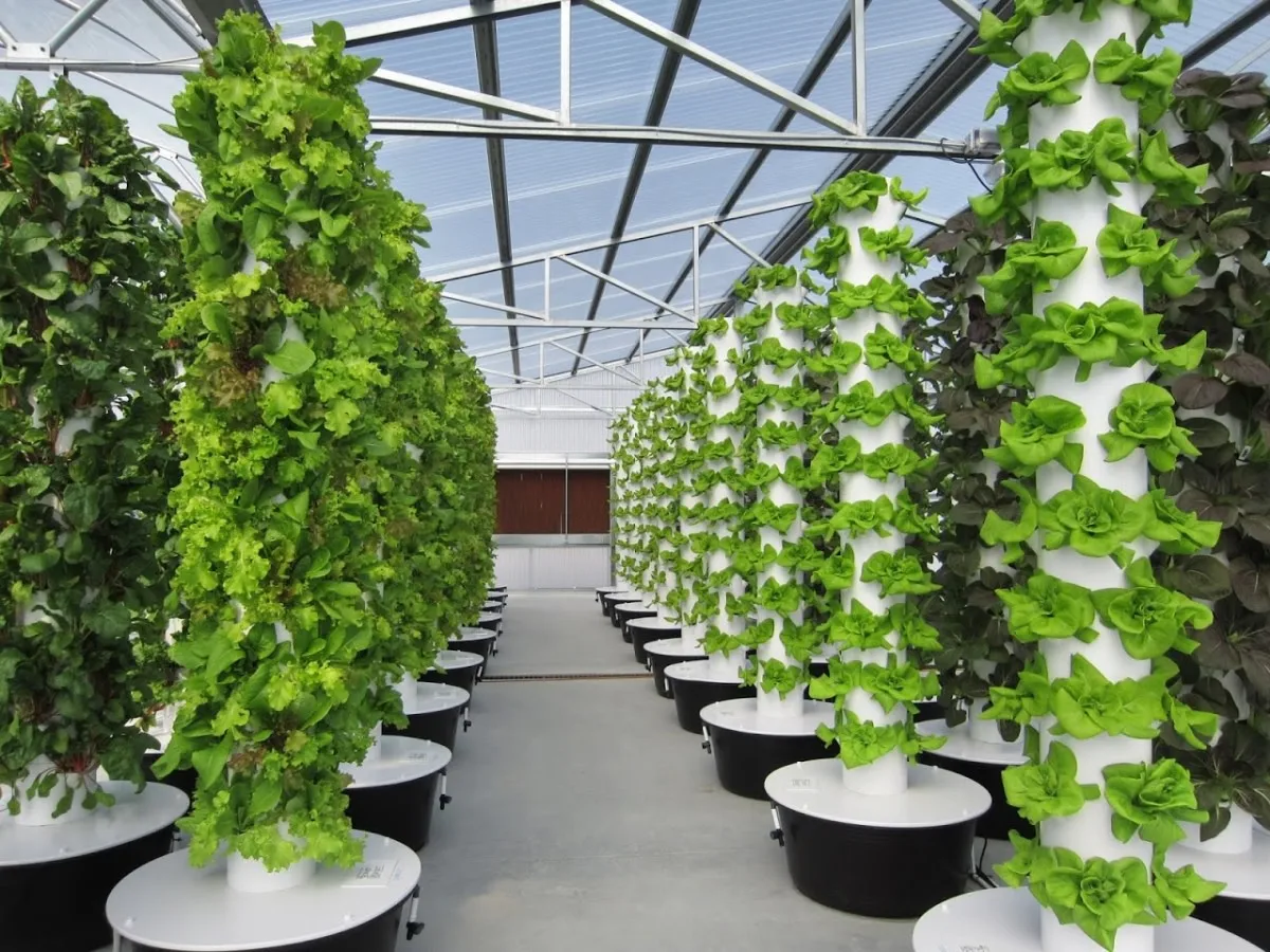 automated hydroponic systems