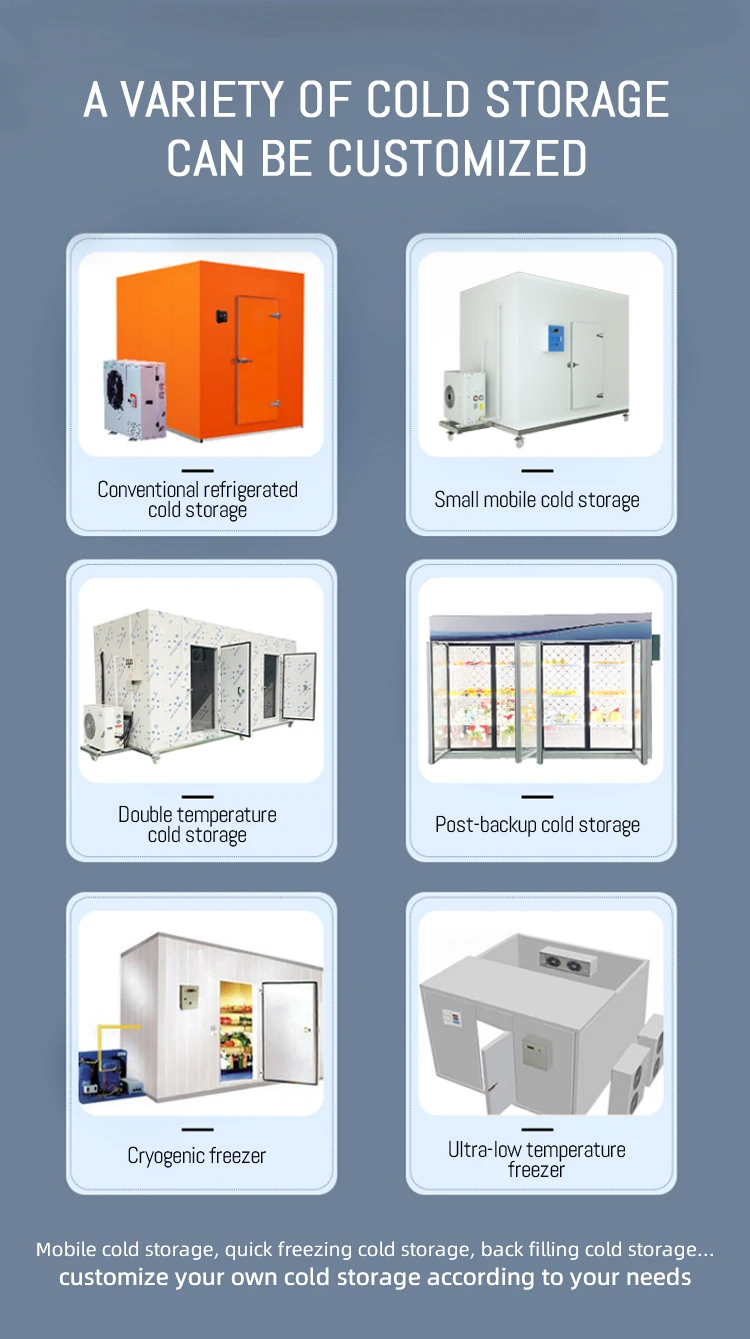 Customized Freezing Easy Disassembly Cold Room And Freezers Freezing