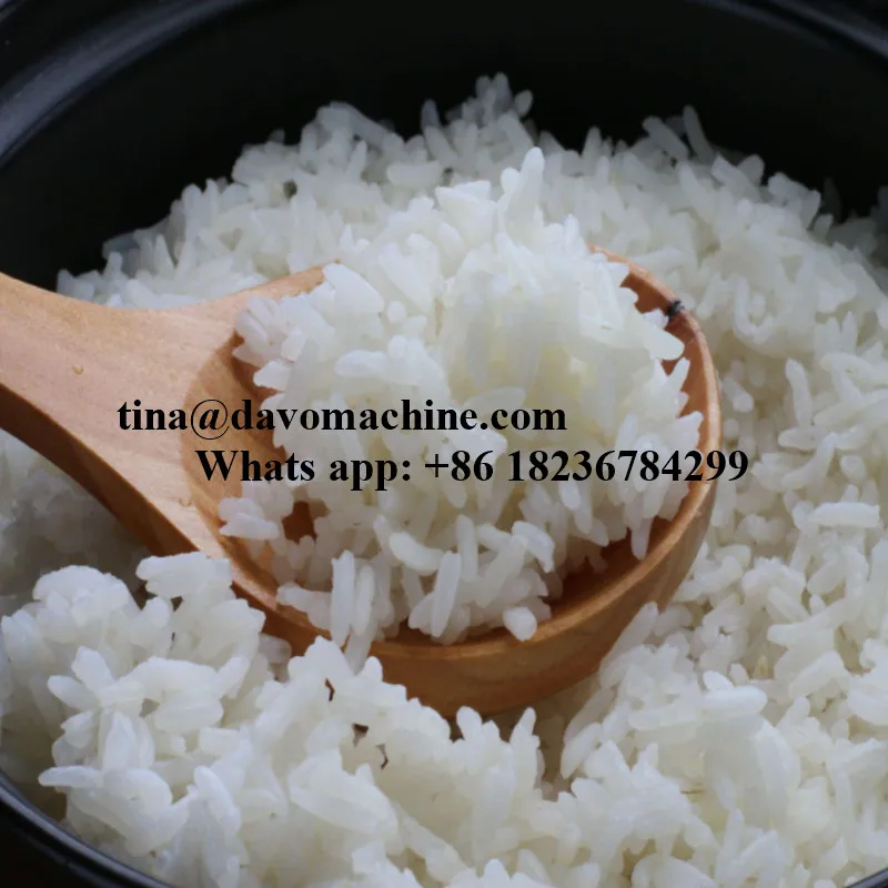 rice 1.jpg