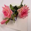 blanc-rose