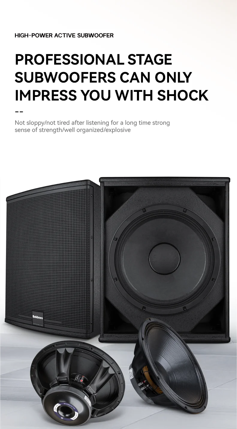 Bekboes Xs Series 15 Inch Big Power Professional Subwoofer Active