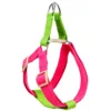 GREEN ROSE Harness