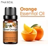 Naranja SY5522-08Sweet