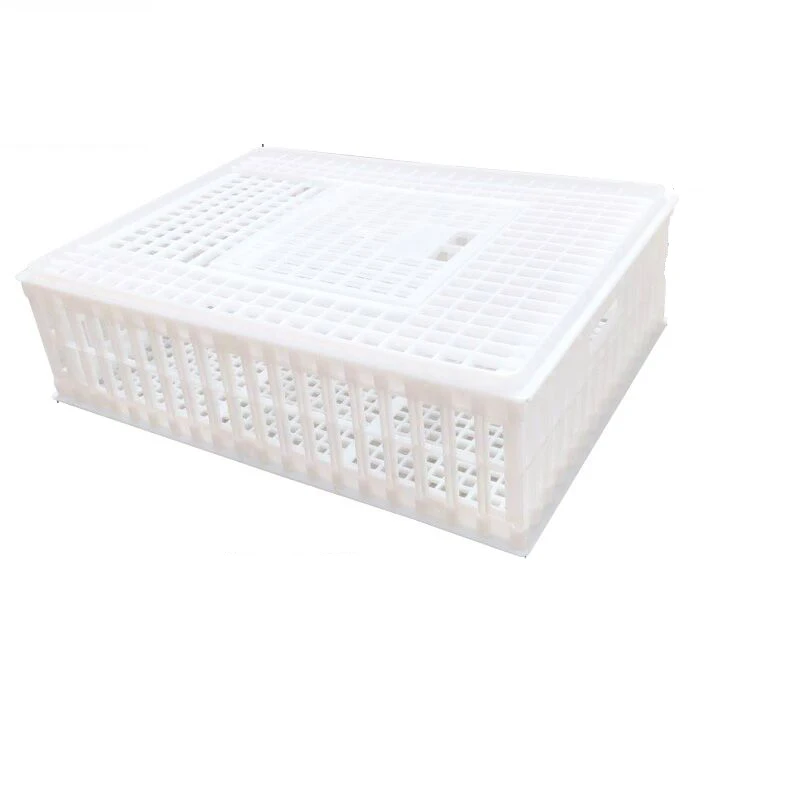 Chicken Transport Cage Duck Bird Poultry Transport Crate Plastic Poultry Transfer Cages Livestock Transport Boxes for Sale