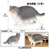 colorato PL127-3369 Piccolo gatto grasso